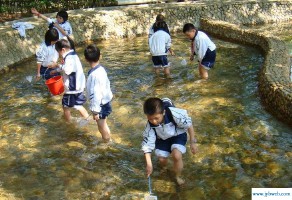 梦见别人捞鱼(梦见别人捞鱼自己在一旁看)