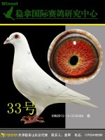 林玉轩(林玉轩陶)