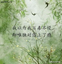 最好别爱我(最好别爱我席绢百度云)