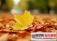 梦见扫落叶(梦见扫落叶越扫越多)