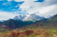 杨丹涛(杨丹涛铀花)