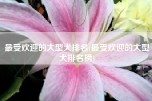 最受欢迎的大型犬排名(最受欢迎的大型犬排名榜)