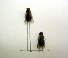 梦见苍蝇(梦见苍蝇乱飞是什么意思)