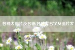 各种犬图片及名称(各种犬名字及图片大全)