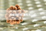 最凶猛的貂(最聪明的貂)