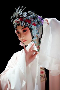 张莉馨(启辰车模张莉馨)