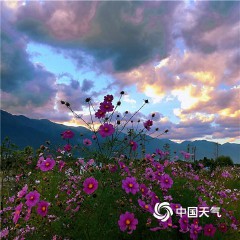 美不胜收的意思是什么(美不胜收的意思是什么(最佳答案),造句)