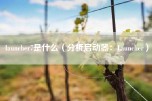 launcher7是什么（分析启动器：Launcher）