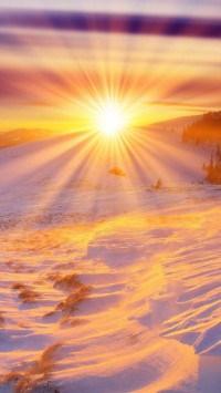 程浩明(程浩个人资料)