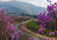 大地春回(大地春回花竞放,新天日出鸟争鸣什么意思)