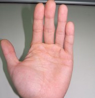 看指纹算命(看指纹算命准吗)