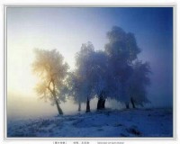 2015年11月24日(2015年11月24日是什么命)