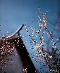 任旖旎(任旖旎 清水河贴吧)