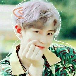 惹上世勋的萌妹子(惹上世勋的萌妹子免费)