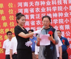 胡琳(胡琳个人资料)