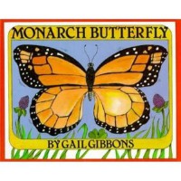 butterfly什么意思(love butterfly什么意思)