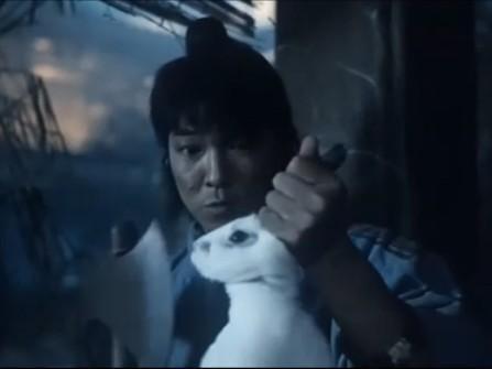 夏苡棓(夏苡棓图片)