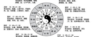 丑时是几点到几点钟的(丑时是几点到几点钟的属什么)