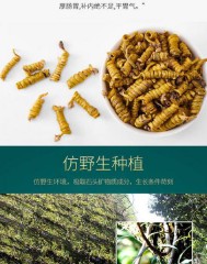 斛是什么意思(斛是什么意思)