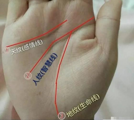 看手相算命图解(看手相算命图解婚姻线)