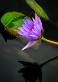 浩瀚如烟(浩瀚如烟)