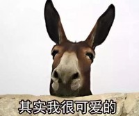 卸磨杀驴什么意思(成语卸磨杀驴什么意思)