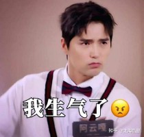 金莉娅(金莉娅瓷砖是几线品牌)