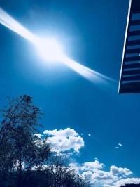 无影无踪的意思(无影无踪的成语意思)