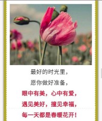 无影无踪的意思(无影无踪的成语意思)