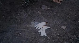 油然而生的意思(油然而生的意思)