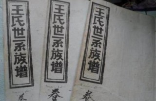 第五姓(第五姓全国有多少人口)