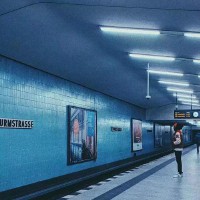 钱天韵(钱天韵花豹)