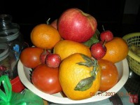 钱天韵(钱天韵花豹)