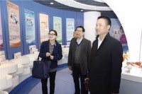 陈凌云(陈凌云东华大学)