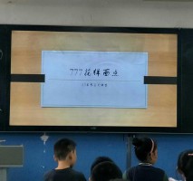 刘小雁(刘小雁公司)