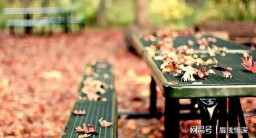 情非得已的意思(情非得已的意思解释)