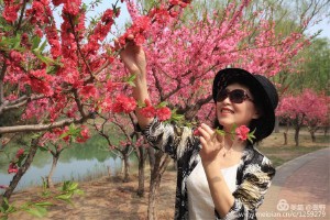 吕百合(吕百合 兰州)