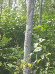 徐圣贤(徐圣贤 判决)