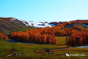 心驰神往是什么意思(心驰神往的心是什么意思)