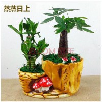 好运一生微信名(好运一生微信名图片)