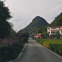 各奔前程(各奔前程)