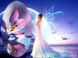 angel中文意思(snow angel的中文意思)