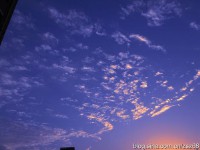 彩霞的英文(彩霞的英文名怎么说)