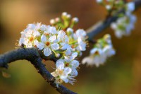 2013年什么时候立春(农历2013年什么时候立春几点几分)