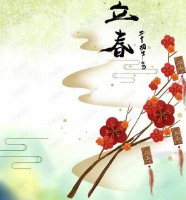 2013年什么时候立春(农历2013年什么时候立春几点几分)