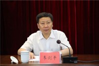 陈叶芬(陈叶芬教授)