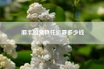 顺丰的宠物托运要多少钱