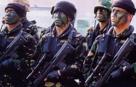 特种部队名字大全最拉风（小说神级特种部队名字大全 ）