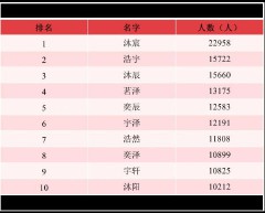 一万个名字供你选择（一万个最常见的名字 ）