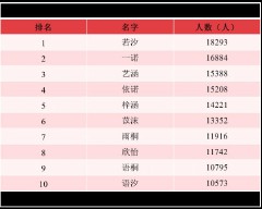 一万个名字供你选择（一万个最常见的名字 ）